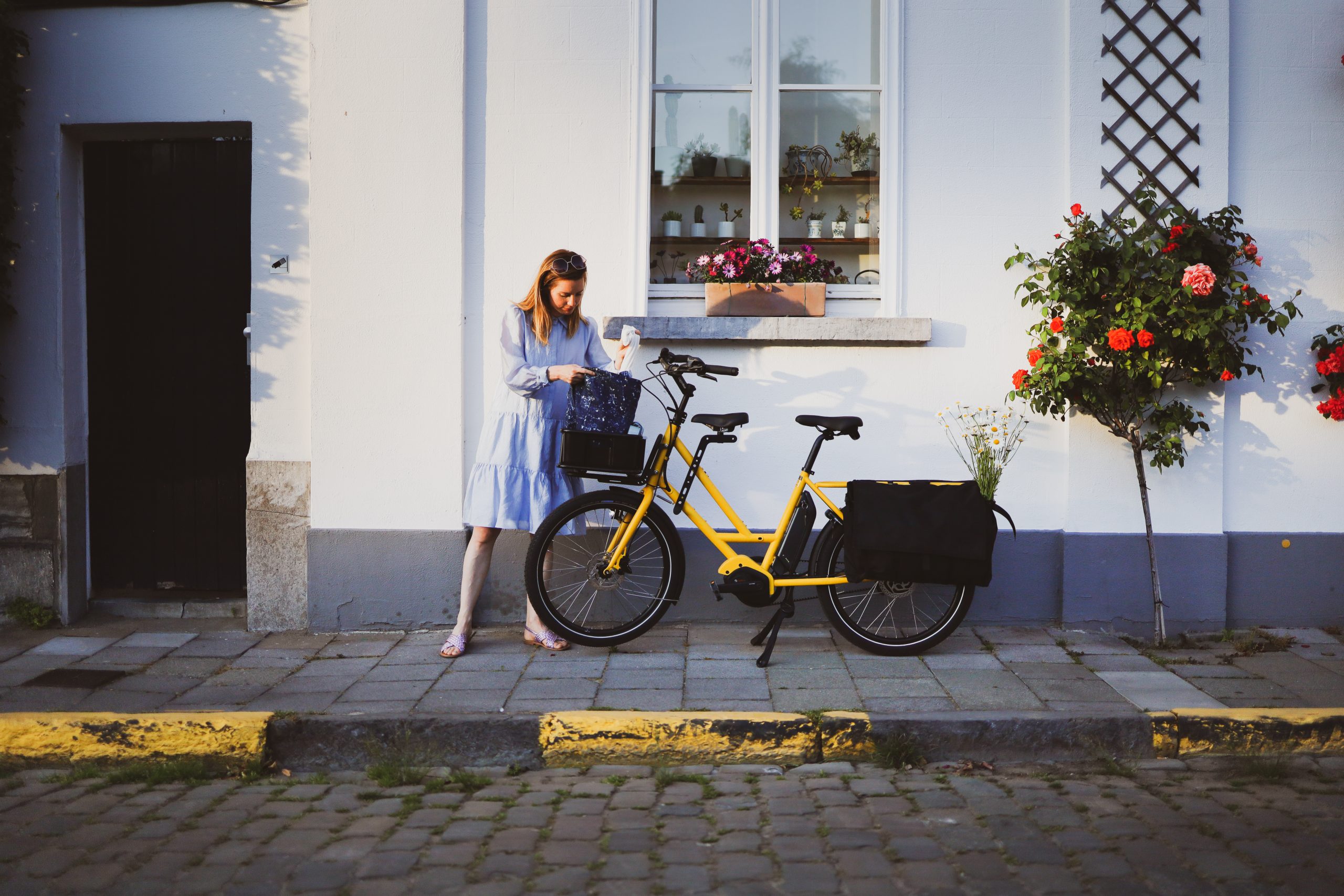 veloe family bike