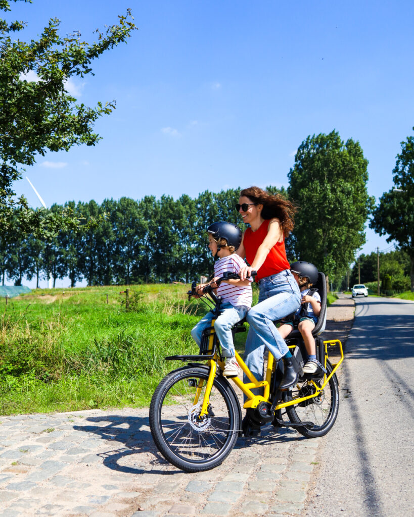 veloe family bike